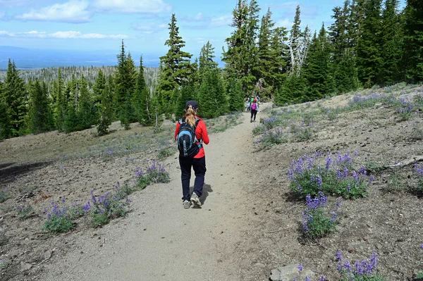 Sisters yakınlarındaki Tam Mcarthur Rim Trail üzerinde Yürüyüşçüler, Oregon.
