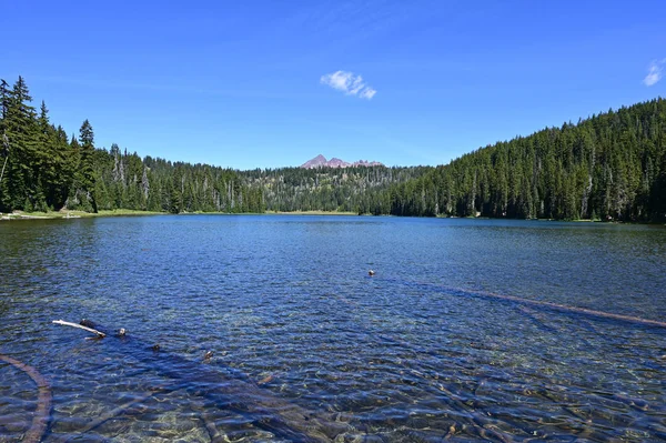 Todd Lake, Oregon, con la parte superior rota en el fondo . — Foto de Stock