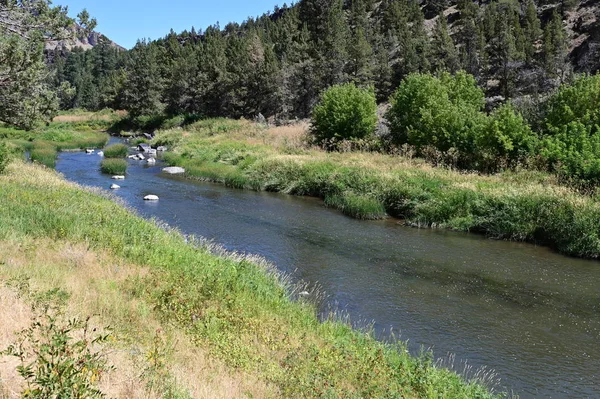 Krummer Fluss im Smith Rock State Park, Oregon. — Stockfoto