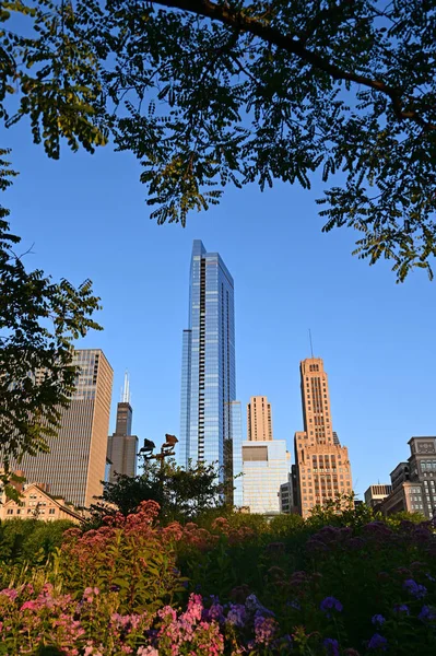 Chicago-Gebäude umrahmt von Bäumen und Blumen. — Stockfoto