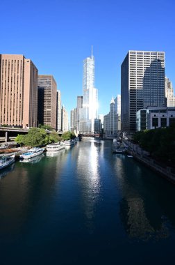 Trump Tower Chicago ve çevresindeki binalar Chicago Nehri'ne yansıdı.
