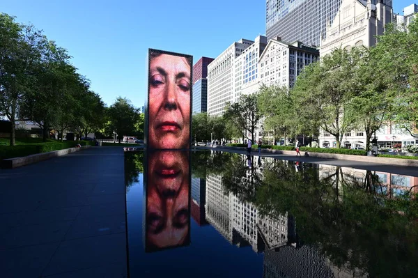 Millenium Park, Chicago taç Çeşme.