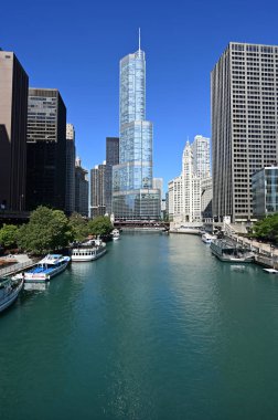 Trump Tower ve Chicago, Illinois çevresindeki binalar.