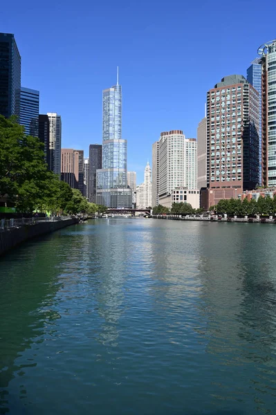 Trump Tower e edifícios circundantes em Chicago, Illinois . — Fotografia de Stock