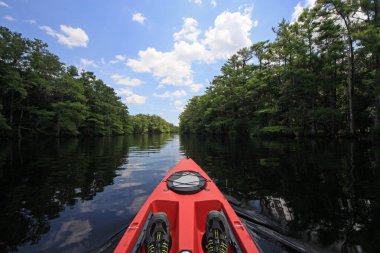 Kırmızı kayık Fisheating Creek, Florida üzerinde.