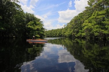 Florida Fisheating Creek 'te bayan kanocu..