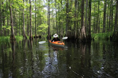 Florida Fisheating Creek 'te bayan kanocu..