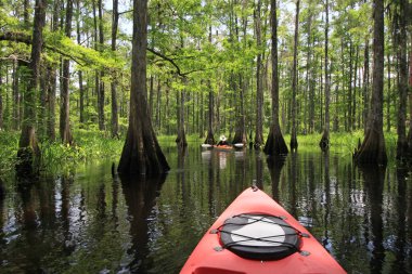 Balıkçılık Koyu, Florida 'da kayakçılar.