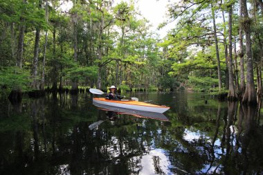 Florida Fisheating Creek 'te bayan kanocu..