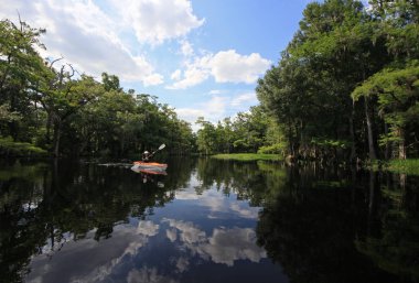 Florida Fisheating Creek 'te bayan kanocu..
