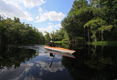 Florida Fisheating Creek 'te bayan kanocu..