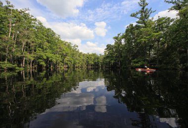 Florida Fisheating Creek 'te bayan kanocu..