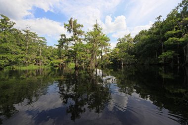 Balıkçı Koyu sakin bir yaz öğleden sonrası yansıması.