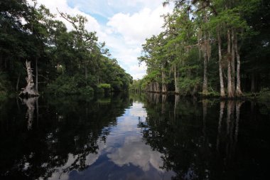 Balıkçı Koyu sakin bir yaz öğleden sonrası yansıması.