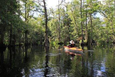 Florida Fisheating Creek 'te bayan kanocu..
