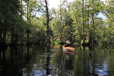 Florida Fisheating Creek 'te bayan kanocu..