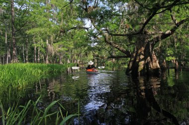 Florida Fisheating Creek 'te bayan kanocu..