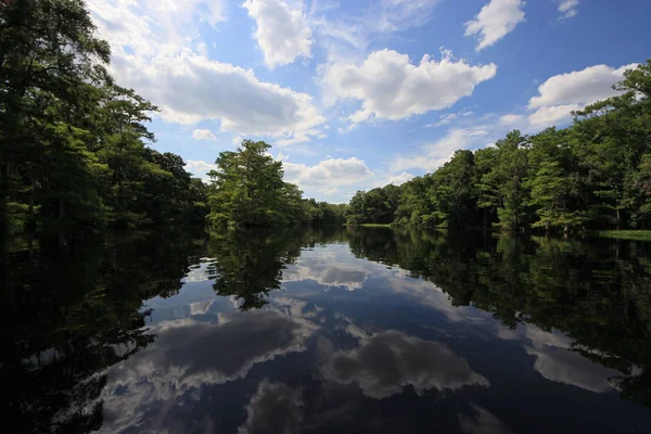 Fisheating Creek reflexões sobre calma tarde de verão . — Fotografia de Stock