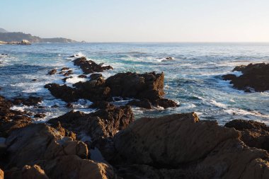 Point Lobos Eyaleti Doğal Rezervi, Kaliforniya.