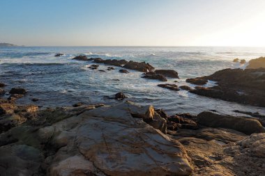 Point Lobos Eyaleti Doğal Rezervi, Kaliforniya.