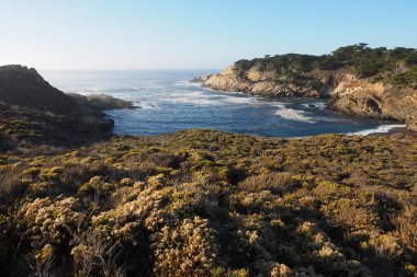 Point Lobos Eyaleti Doğal Rezervi, Kaliforniya.