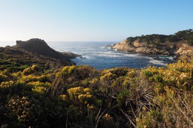 Point Lobos Eyaleti Doğal Rezervi, Kaliforniya.