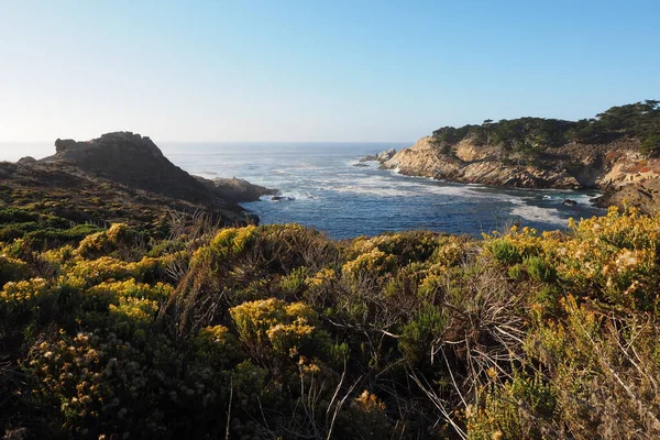 Reserva Natural do Estado de Point Lobos, Califórnia . — Fotografia de Stock