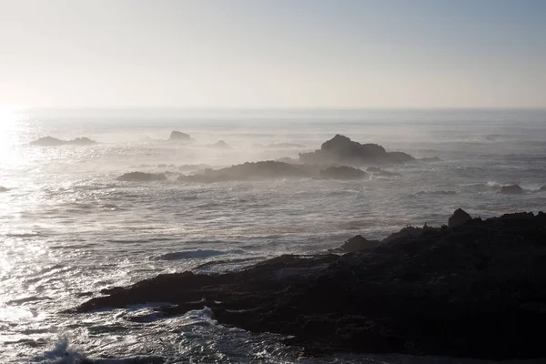 Reserva Natural del Estado de Lobos, California. — Foto de Stock