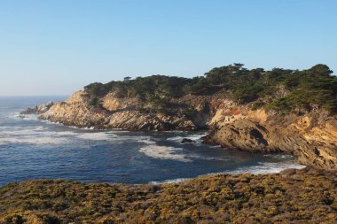 Point Lobos Eyaleti Doğal Rezervi, Kaliforniya.