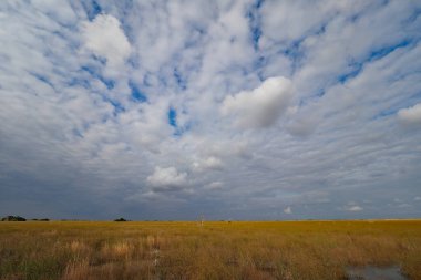 Everglades Ulusal Parkı 'ndaki çayırlarda bulutlar.