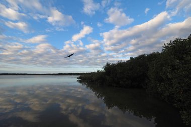Everglades Ulusal Parkı, Florida 'da Batı Gölü üzerinde gün doğumu.