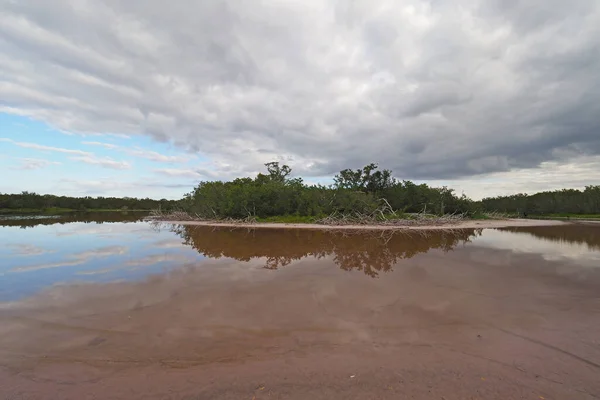 Nuageux tôt le matin sur Eco Pond dans le parc national des Everglades. — Photo