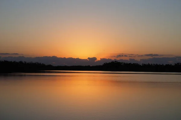 Sonnenaufgang über Nine Mile Pond im Everglades National Park, Florida. — Stockfoto