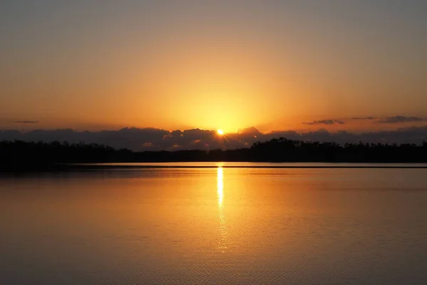 Soluppgång över nio Mile Pond i Everglades National Park, Florida. — Stockfoto