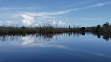 Florida, Everglades Ulusal Parkı 'ndaki Mrazek Pond' da sakin bir yaz günü..