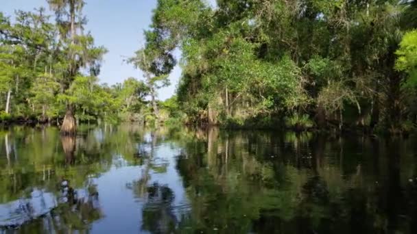 Kvinna sommar kajakpaddling på Fisheat Creek, Florida 4K. — Stockvideo