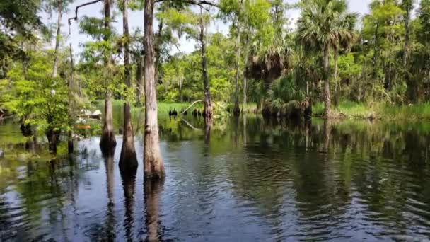 Žena a aktivní senior letní kajak na Fisheating Creek, Florida 4K. — Stock video