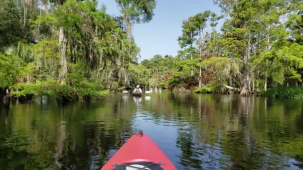 Vrouw en actieve senior zomer kajakken op Fisheating Creek, Florida 4K. — Stockvideo