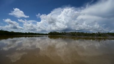 Everglades Ulusal Parkı 4K 'daki Eco Pond üzerinde bulut oluşumu zamanı.
