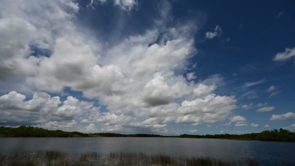 Calendário de formação de nuvens sobre a lagoa de nove milhas no Parque Nacional Everglades 4K . — Vídeo de Stock