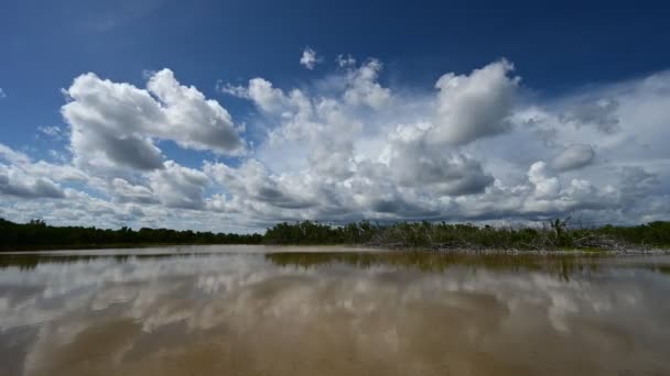 Timelapse av moln formation över Eco Pond i Everglades nationalpark 4K. — Stockvideo