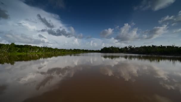 Timelapse wolken weerspiegeld op vijver in Everglades National Park 4K. — Stockvideo