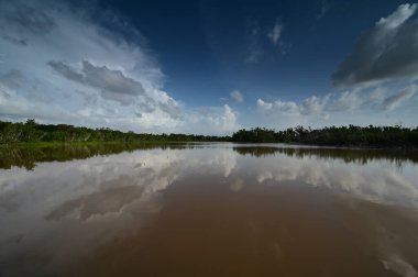 Everglades Ulusal Parkı, Florida 'da Eco Pond üzerinde yaz bulutları.