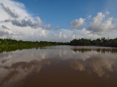 Everglades Ulusal Parkı, Florida 'da Eco Pond üzerinde yaz bulutları.