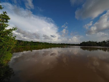 Everglades Ulusal Parkı, Florida 'da Eco Pond üzerinde yaz bulutları.