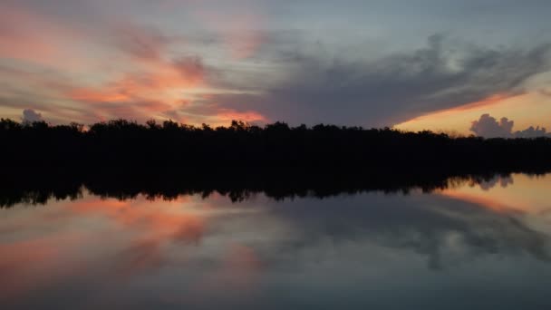 Ljud och sevärdheter i soluppgången på West Lake i Everglades nationalpark 4K. — Stockvideo