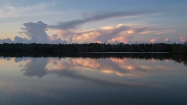 Ljud och sevärdheter i soluppgången på West Lake i Everglades nationalpark 4K. — Stockvideo