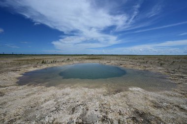 Everglades Ulusal Parkı 'ndaki Delikte Çözüm Deliği Restorasyon Bölgesi.