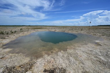 Everglades Ulusal Parkı 'ndaki Delikte Çözüm Deliği Restorasyon Bölgesi.