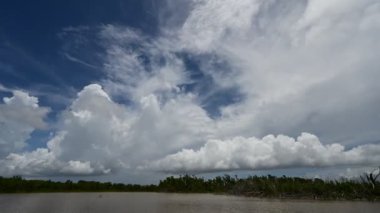 Everglades Ulusal Parkı 4K 'daki Eco Pond üzerinde bulut oluşumu zamanı.